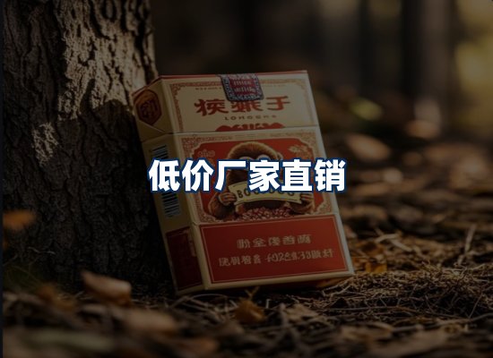 专业团队办公环境